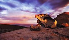 大自然的艺术家