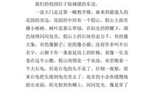 校园的春天写一篇作文