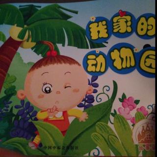 我家是动物园