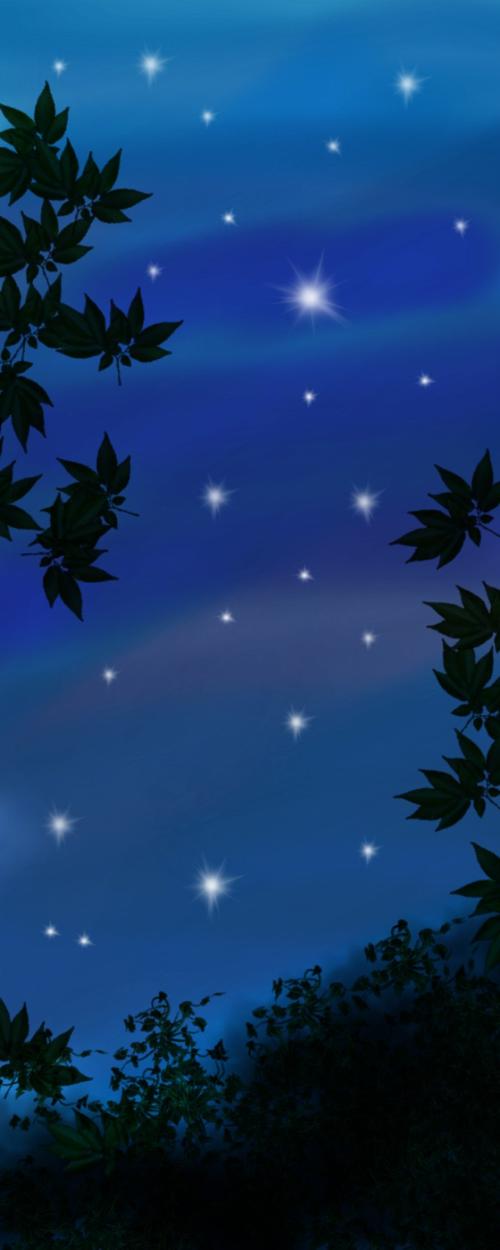 夏天的夜空