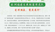 了解龙舟文化，传承革命精神