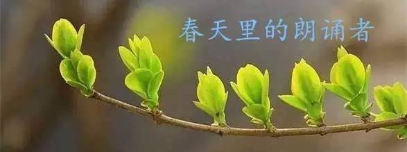 在古诗里走在春天