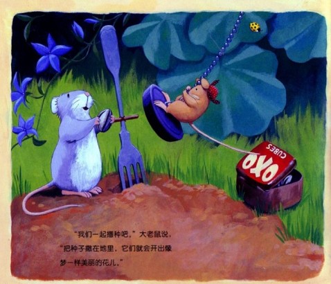 什么样的梦