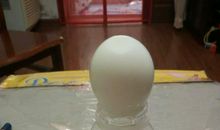 瓶子吞鸡蛋实验