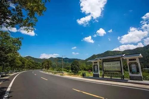 美丽的路