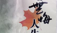 我本来可以不悔的