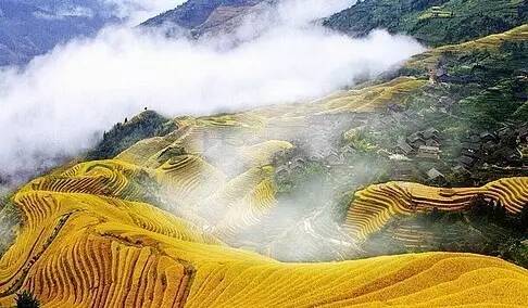 站在龙脊梯田