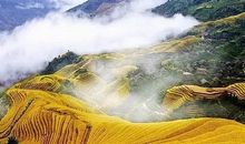 站在龙脊梯田上