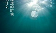 人生与理想齐飞