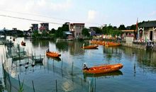 美丽的古劳水乡