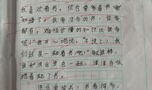 我最熟悉的一个人作文