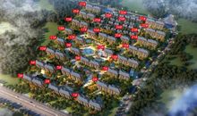 绿化世界，让生活更美好