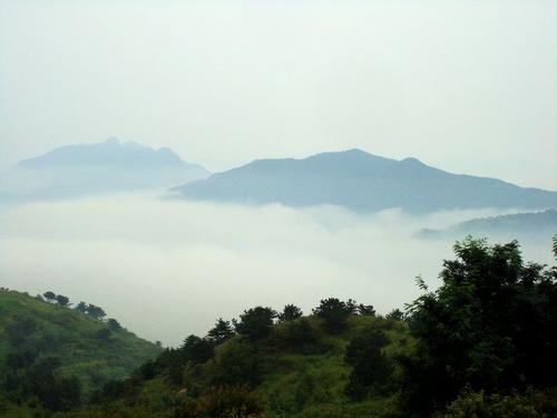 泰山在雨中