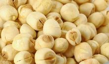 关于莲子的作文