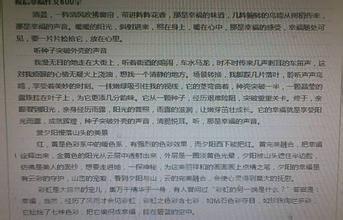 快乐的约束叙事作品