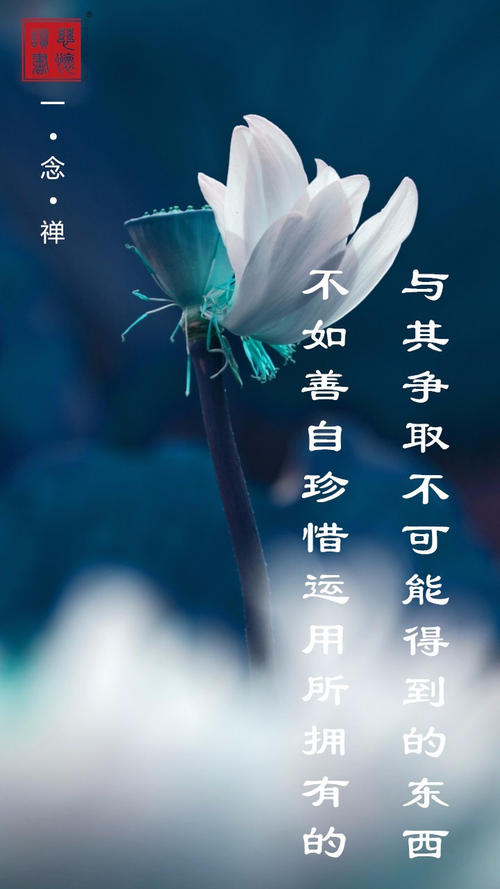 珍惜温暖