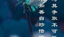 珍惜所拥有的温暖