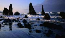 苦难也是一种美丽