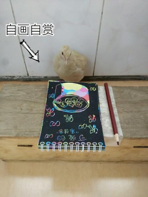 有趣的小鹌鹑