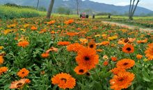 一段温暖的回忆