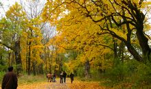 秋天带我们去旅行