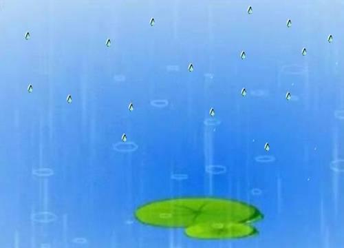 小雨