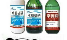 一段油墨芬芳的旅程