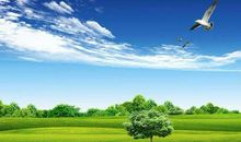 家乡的环境保护和建议