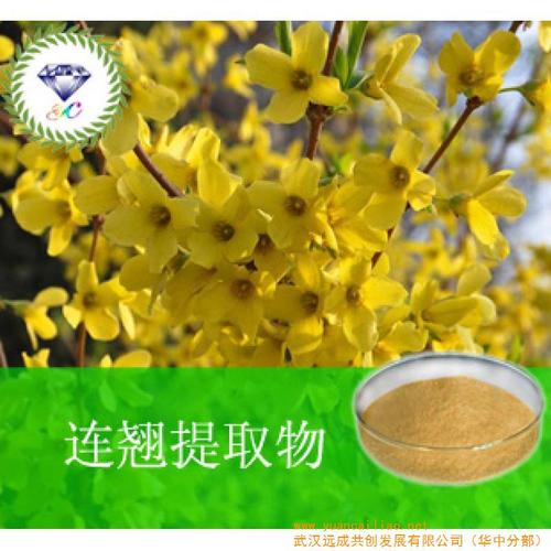 我喜欢连翘