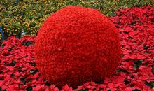 美丽园区欢迎你