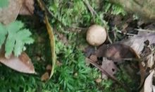 千变万化的目光