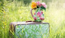 生命的意义是爱