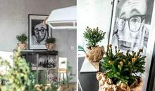 我家的三位达人