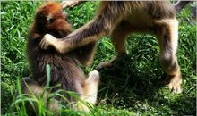 我与国宝的亲密接触