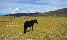 震撼心灵的那一刻