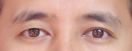 眉毛和眼睛