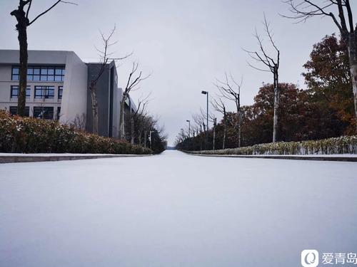 聆听大自然的声音