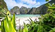 一段以老竹为伴的旅程