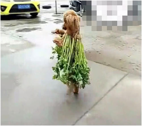 麻烦过后