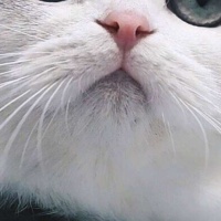 旁观者