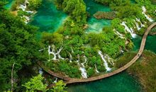 科学来自大自然