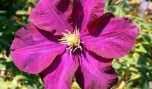 阳光，伴我同行