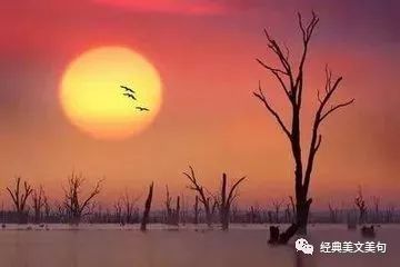 努力让我更淡然