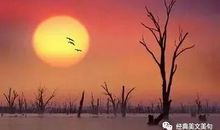 努力使我更加淡然