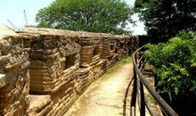 走进炮台南潮水乡