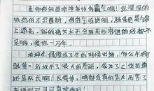 七年级我的偶像作文600字