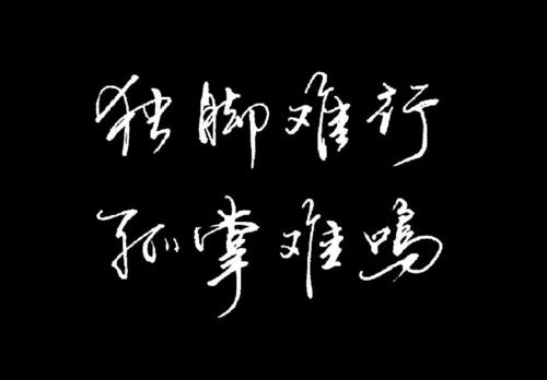 单根细丝不能形成线，单棵树不能形成森林