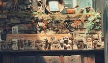 这个秋天不同寻常