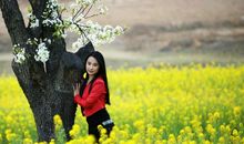 就这样走进春天