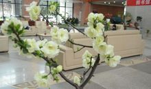 我和图书馆有约